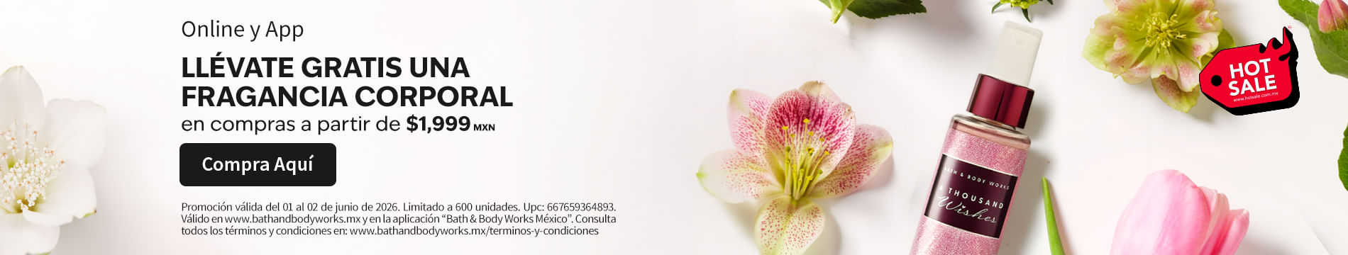 envio gratis