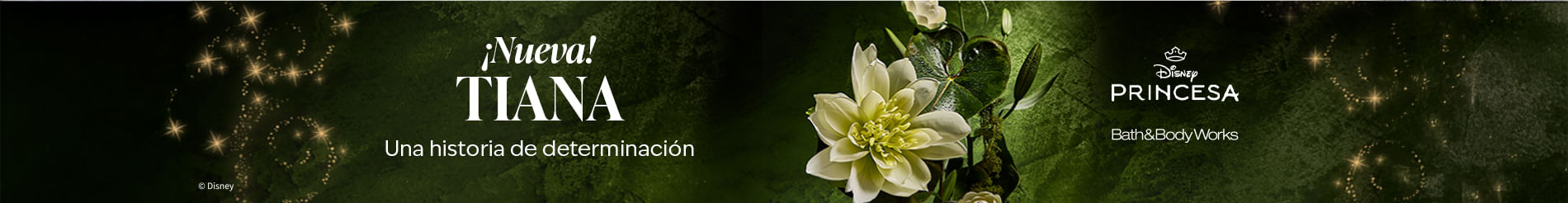 Bath & Body Works 3x2