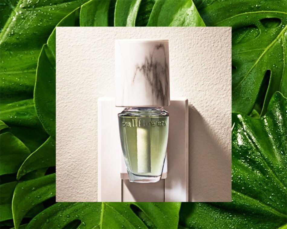 Bath & Body Works