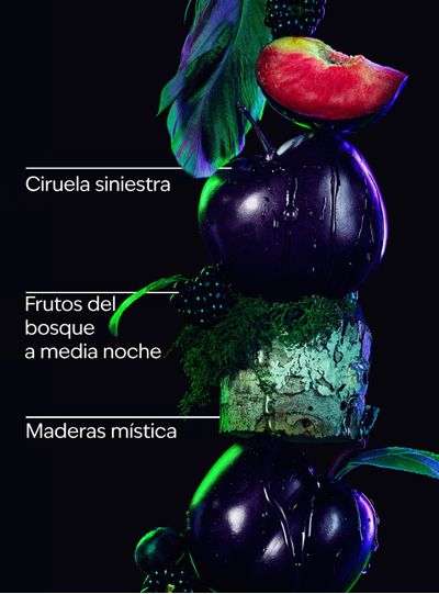 FD_2227x3000px