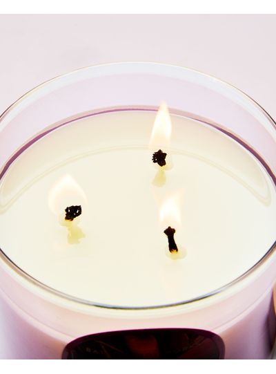 chocolate-covered-berries