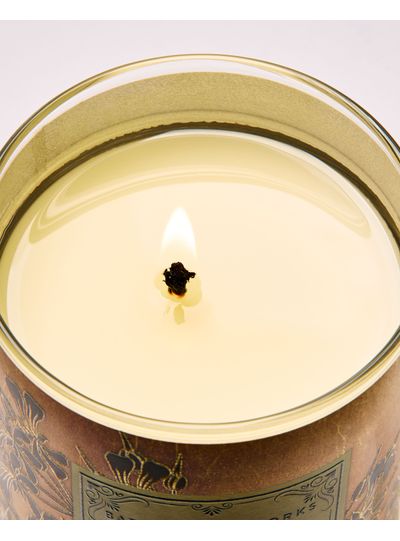 backyard-honeysuckle