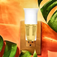 Bath & Body Works wallflowers